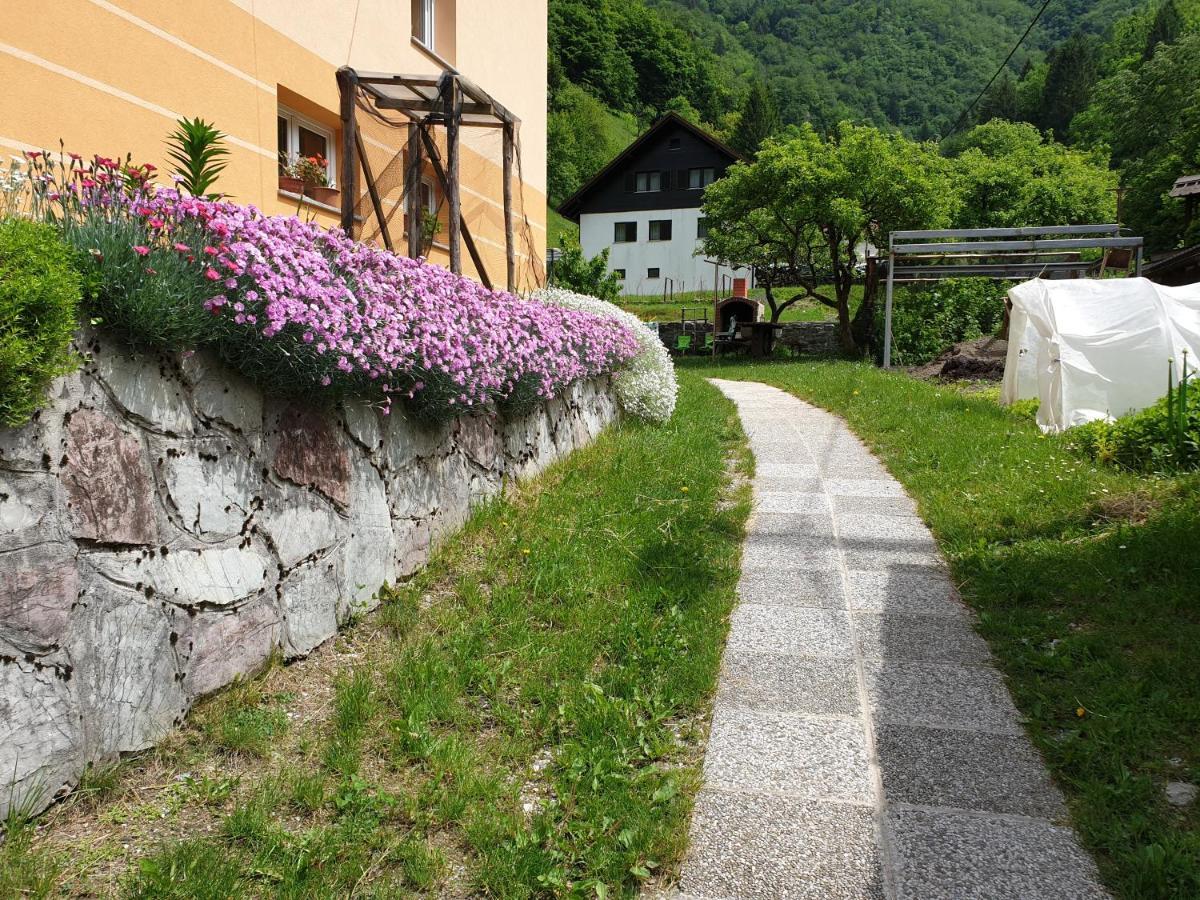 Apartment And Garden House Among The Mountains Podbrdo Exterior photo