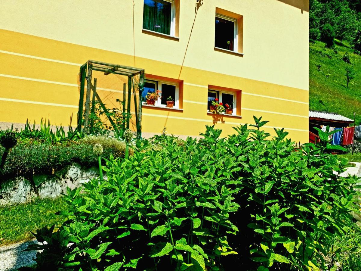 Apartment And Garden House Among The Mountains Podbrdo Exterior photo